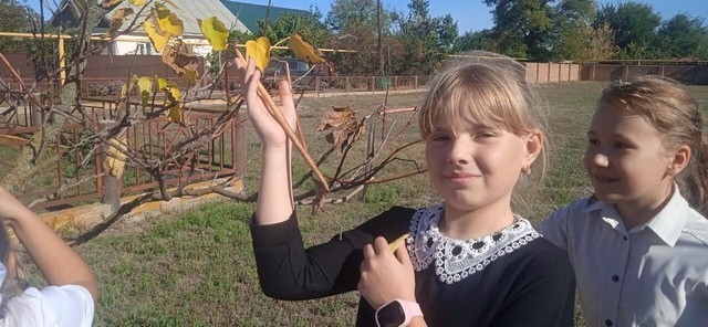 oseni zolot pora 2