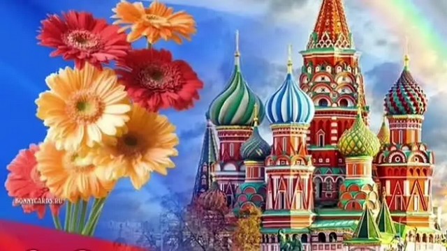 videoPreview 54568